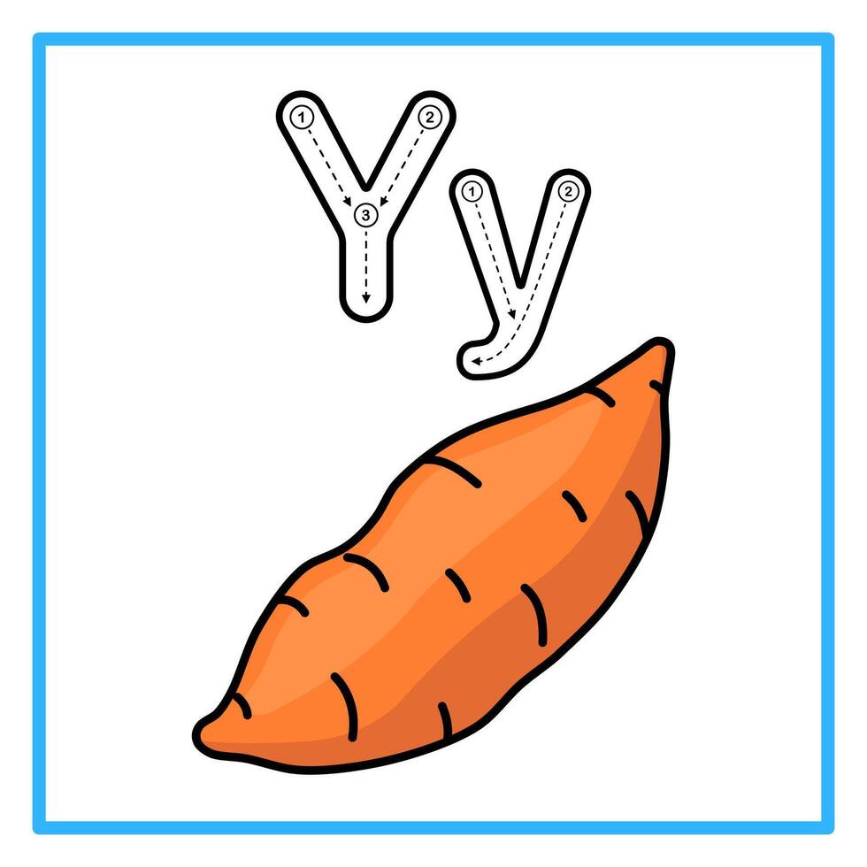 tracing alfabet yam fruit illustration vector