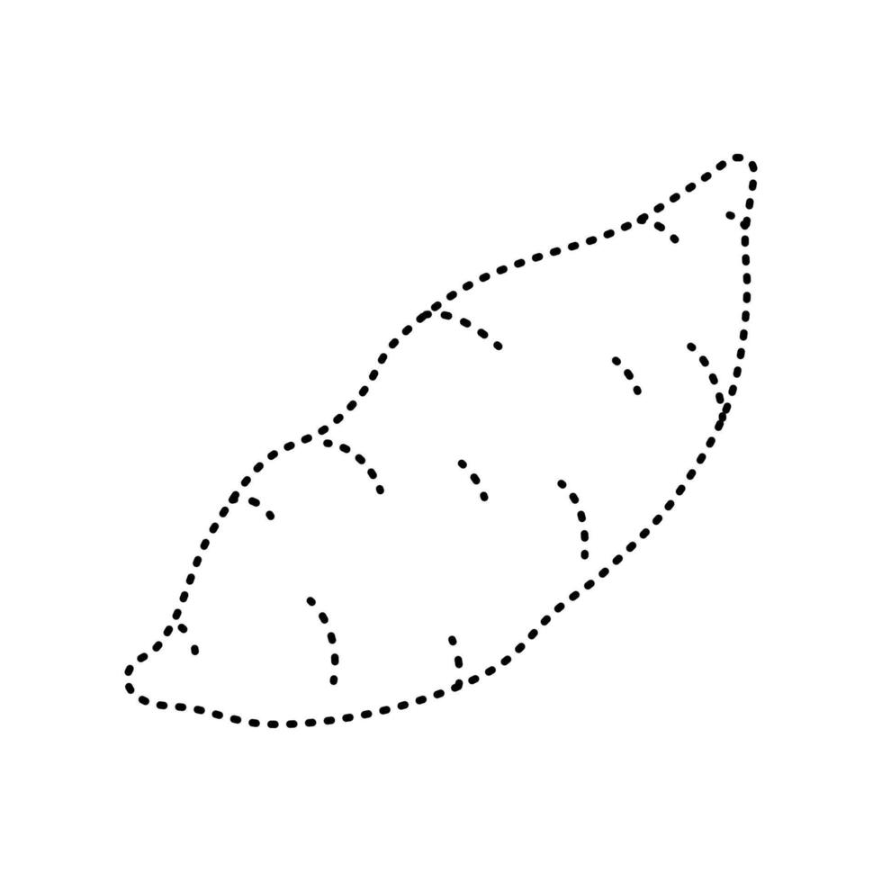 tracing yam illustration vector