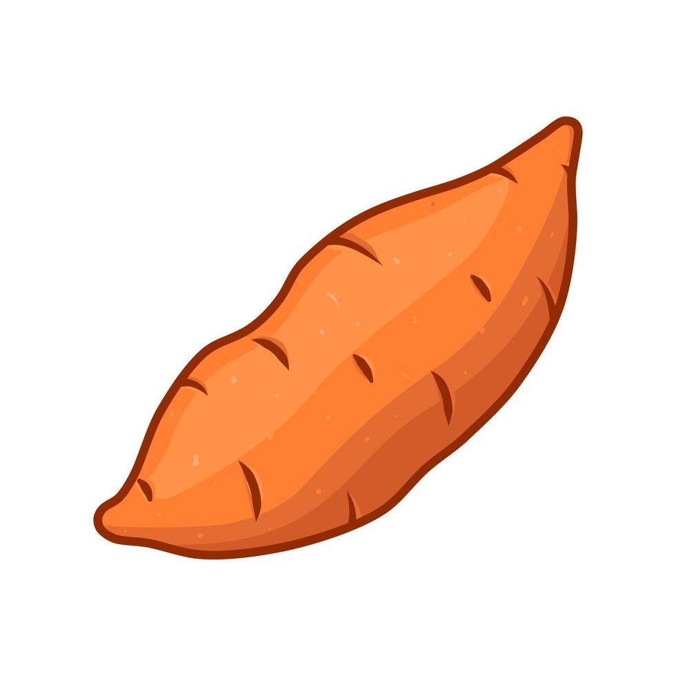 fresh yam illustration vector
