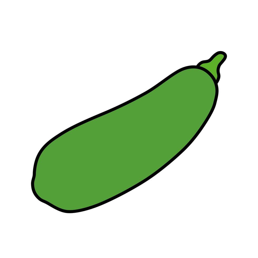 flat zucchini illustration vector