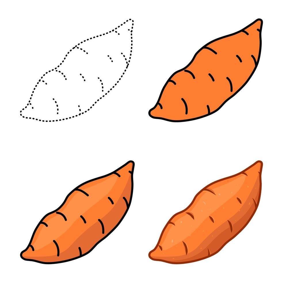 yam set illustration vector