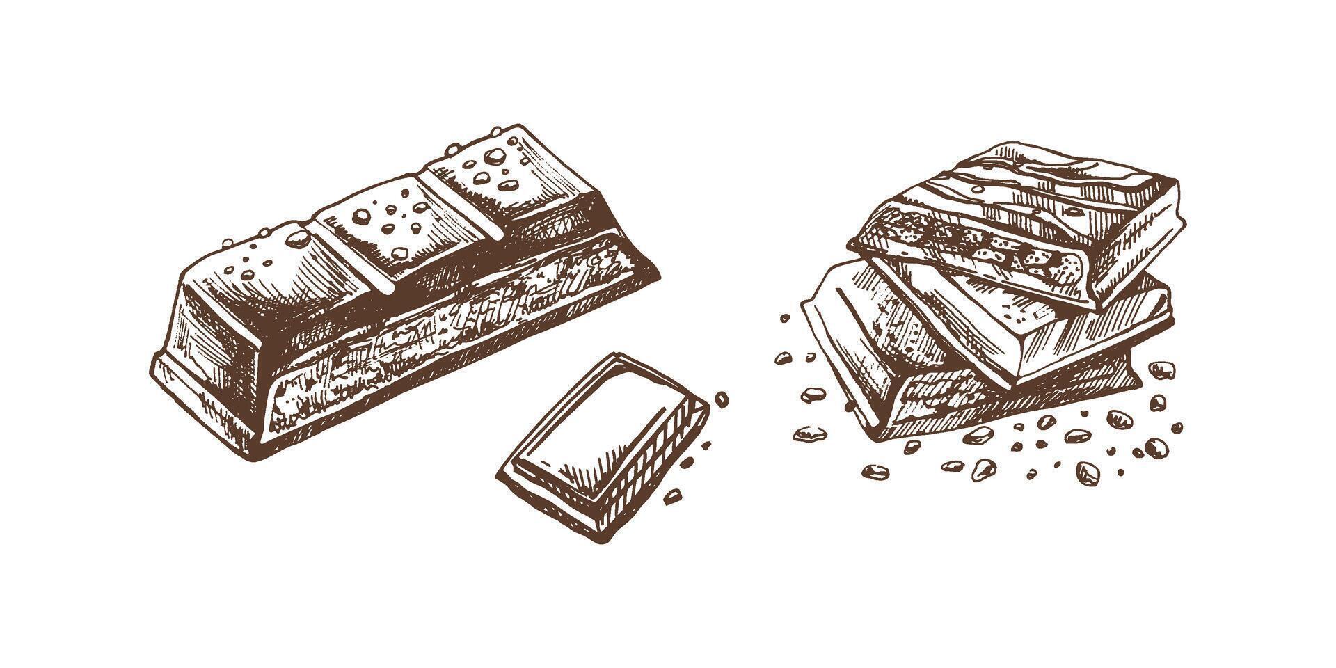 Hand-drawn chocolate bar illustrations with vintage artistic details vector