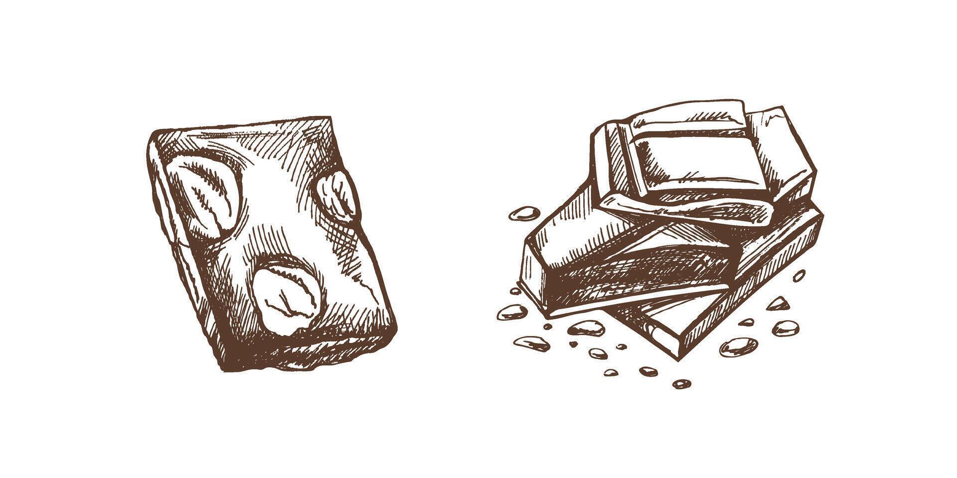 Hand-drawn chocolate and candy illustrations in vintage artistic style vector