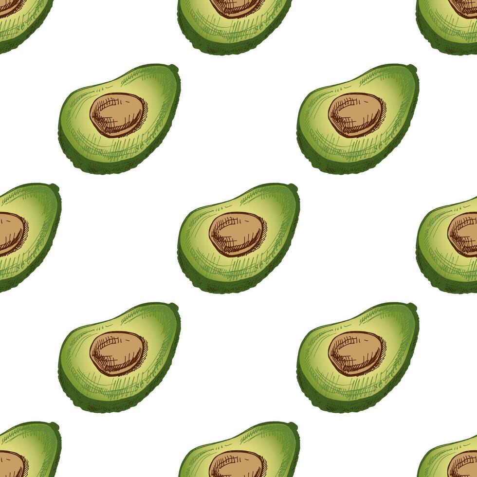 Seamless hand-drawn avocado pattern with vintage illustration for menus vector