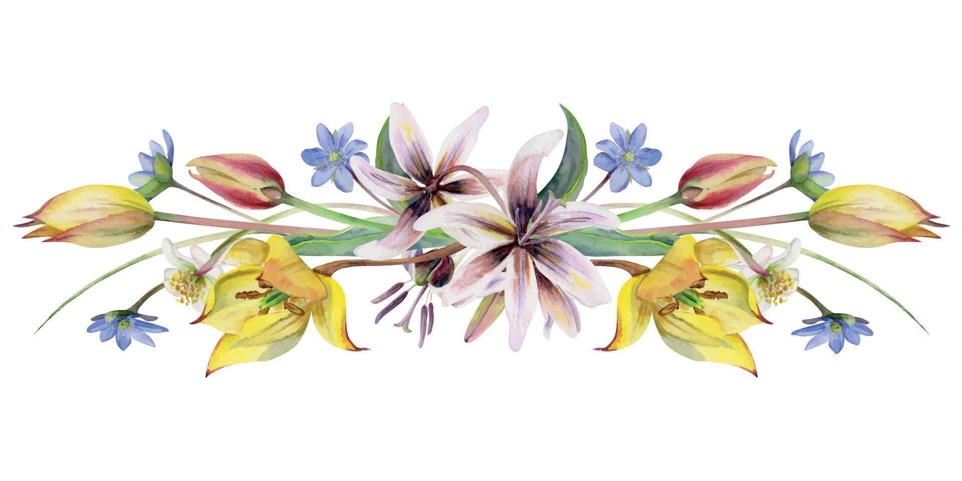 Spring flowers, yellow and red tulip crocus saffron, erythronium fawn trout lily, grass blades hand drawn in watercolor. Composition illustration isolated on white. Wedding, florist shop, stationery vector