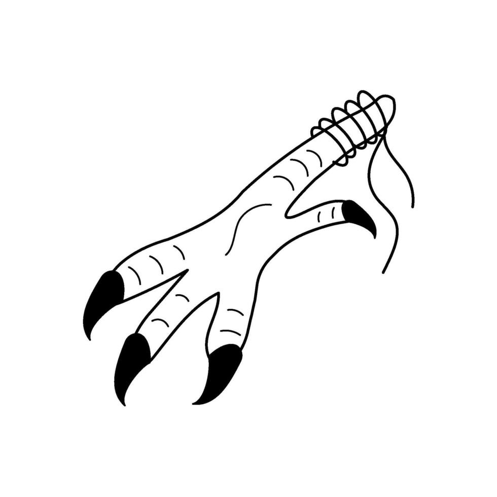 Black line Doodle Chicken paw with claws for magic rituals, occult Ingredient for making potion. Chicken feet Witch accessory. Isolated illustration theme magic, Halloween, esoteric. vector