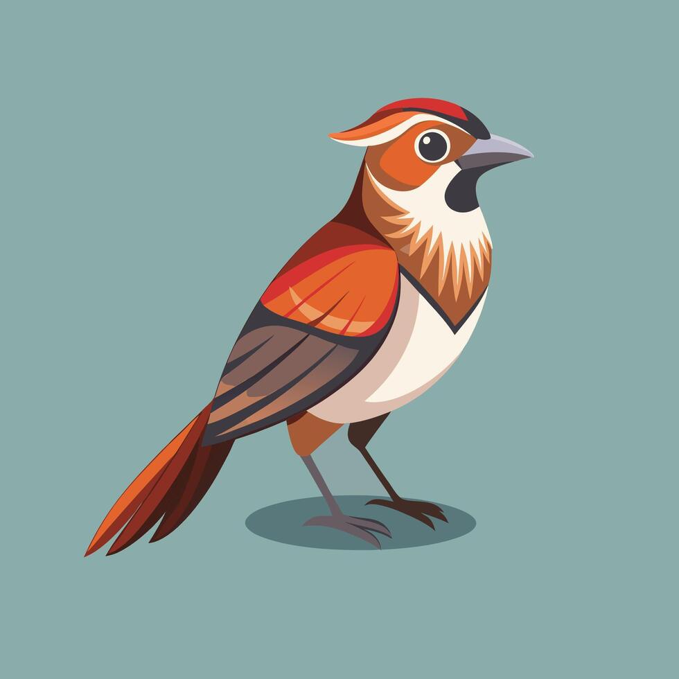 bird art illustrationCute Bird Cartoon Character Sitting Style vector