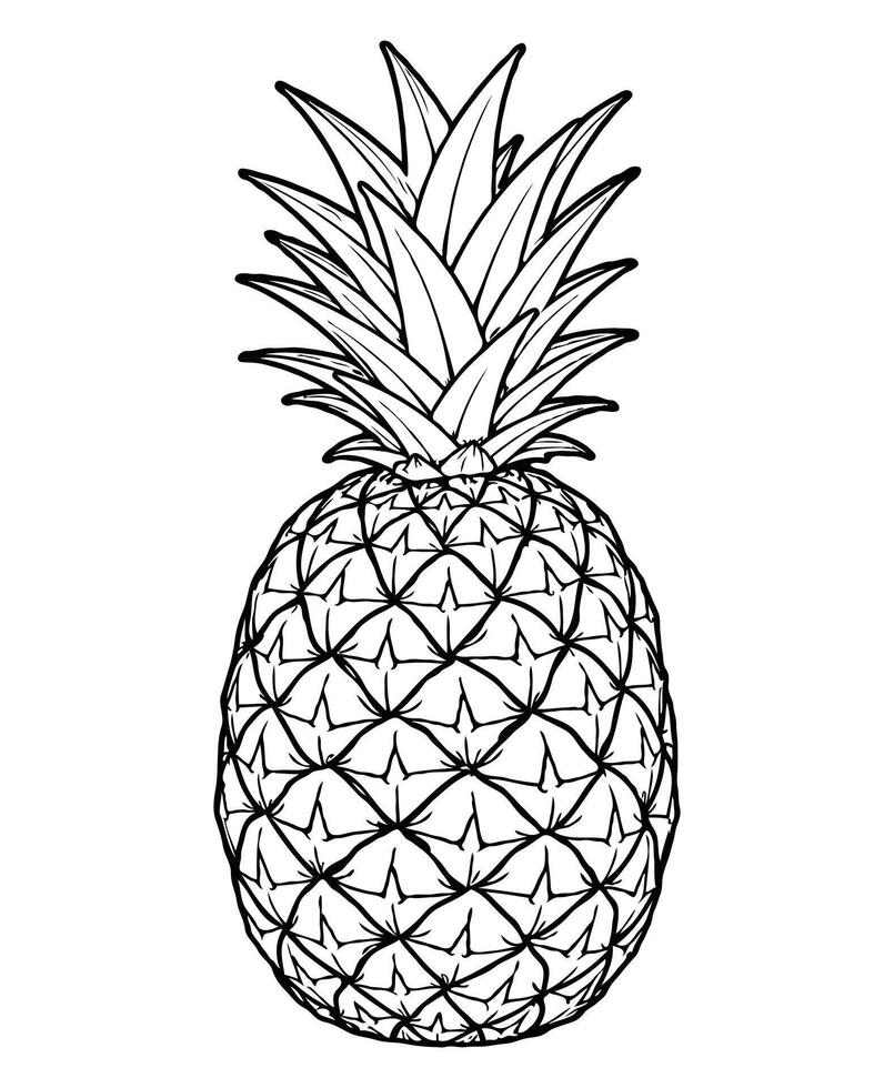 Pineapple Fruit Coloring Page, Design On White Background vector