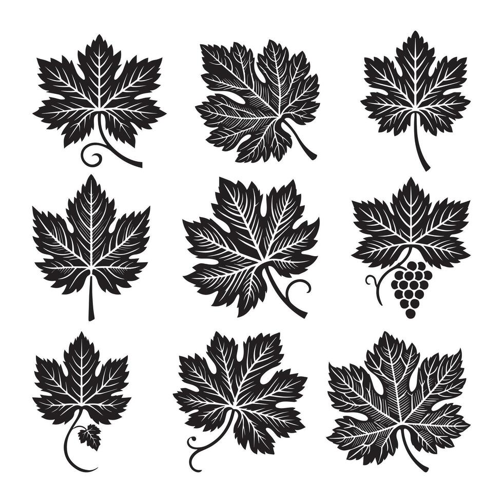 Grape leaf silhouette art leave vector