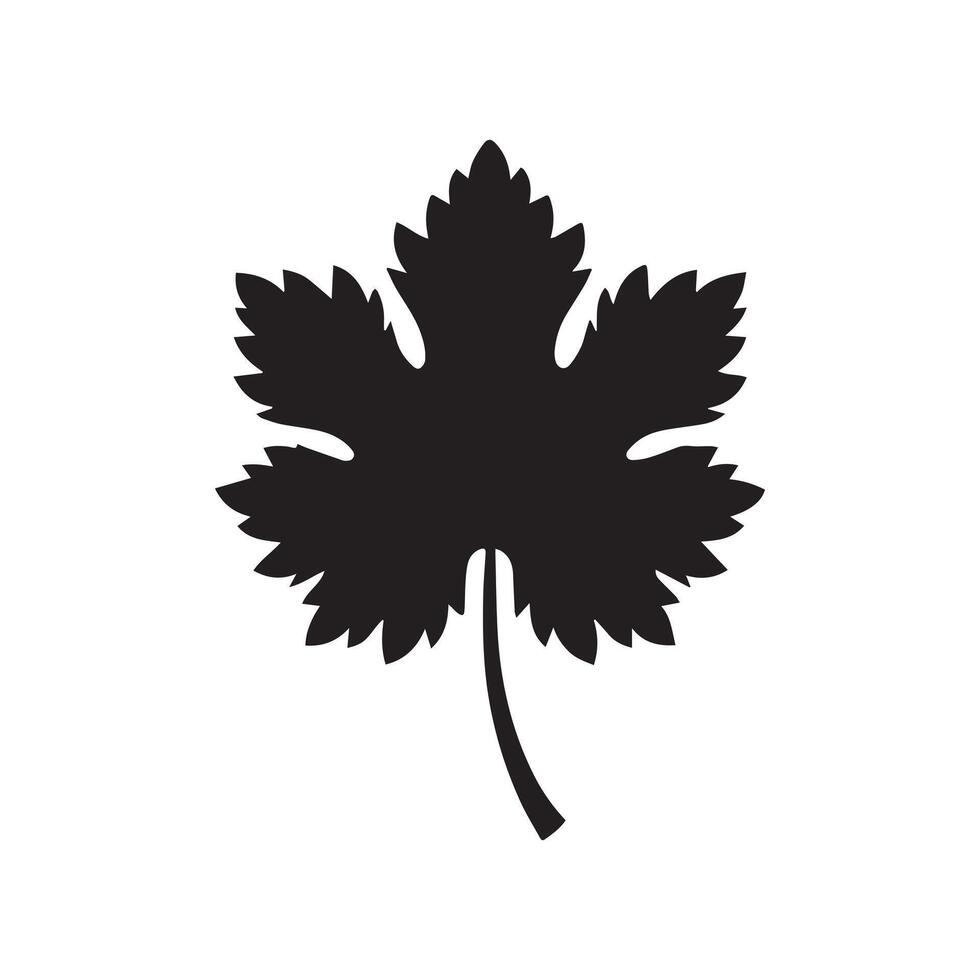 Grape leaf black silhouette isolated on white background. illustration vector