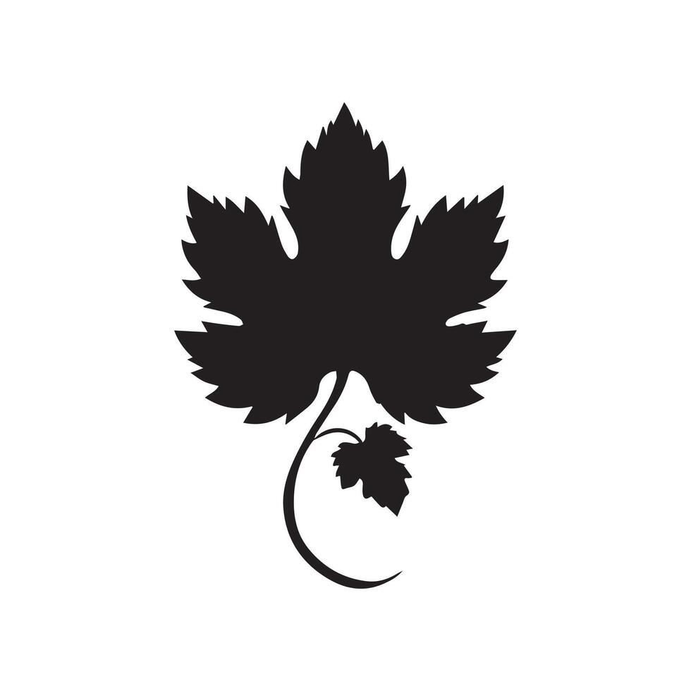 maple leaves in white background vector