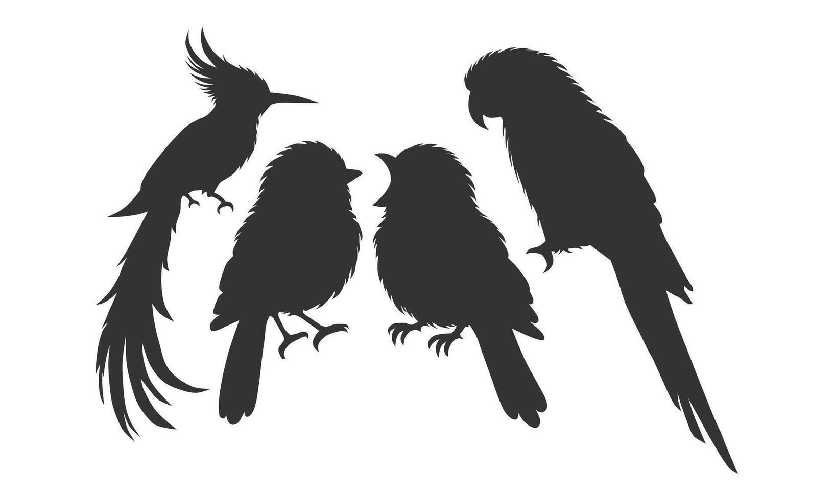 Wild Animal Bird Silhouette. Beautiful Bird Element. Elegant Bird Silhouette. vector