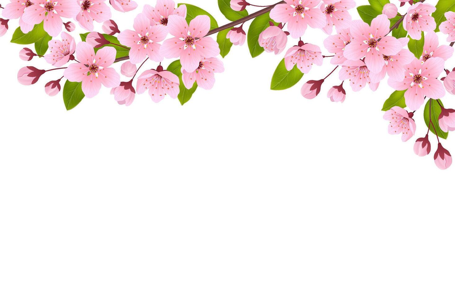 Sakura blossom composition in realistic style vector