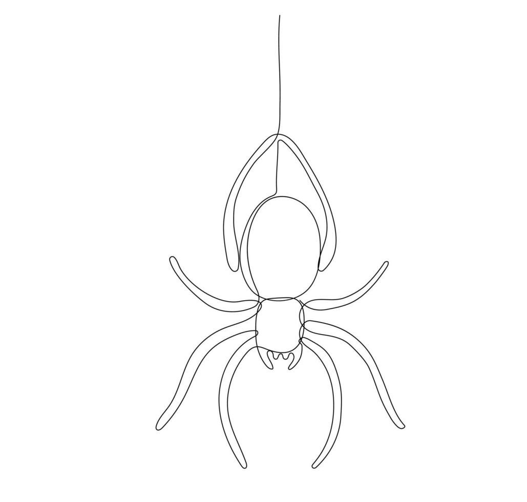 Outline spider hanging on web. line illustration vector