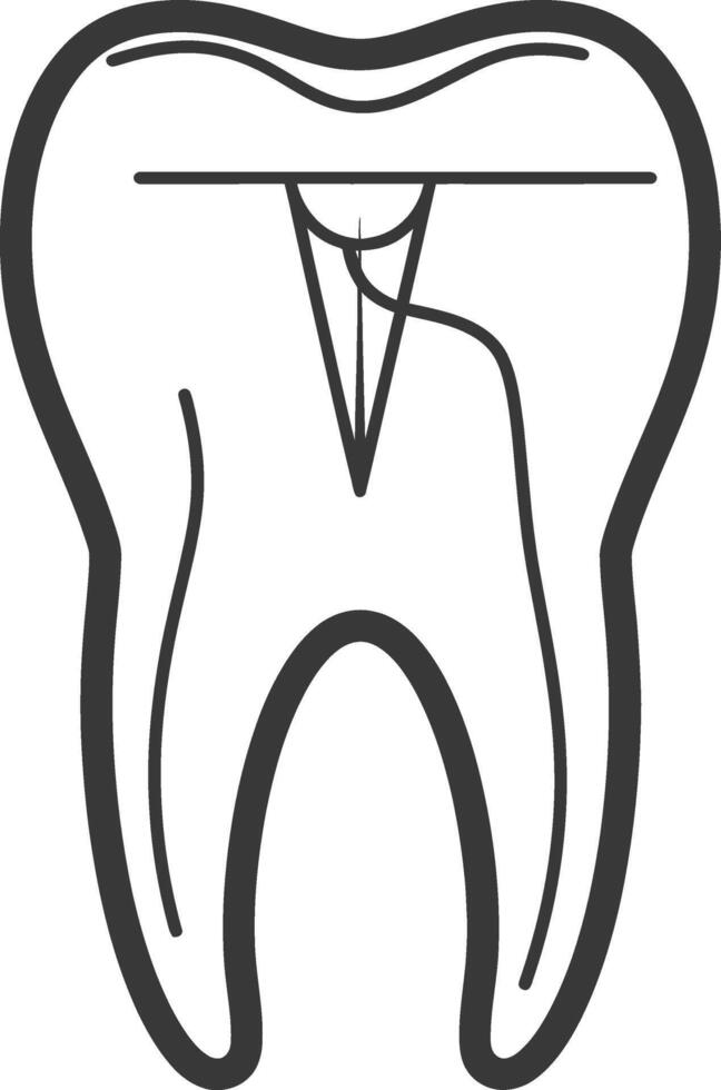 A tooth with a hole in it and a line drawing of it vector
