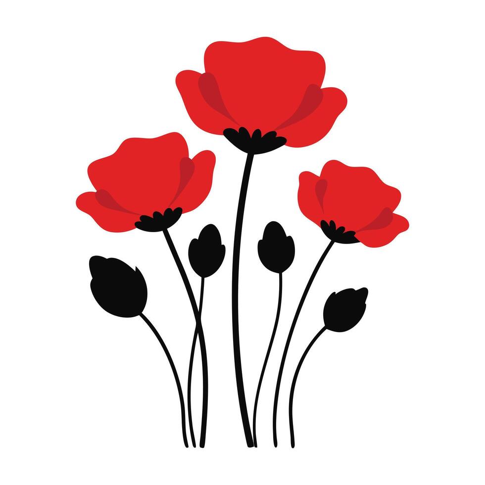 poppy flowers illustration white background vector