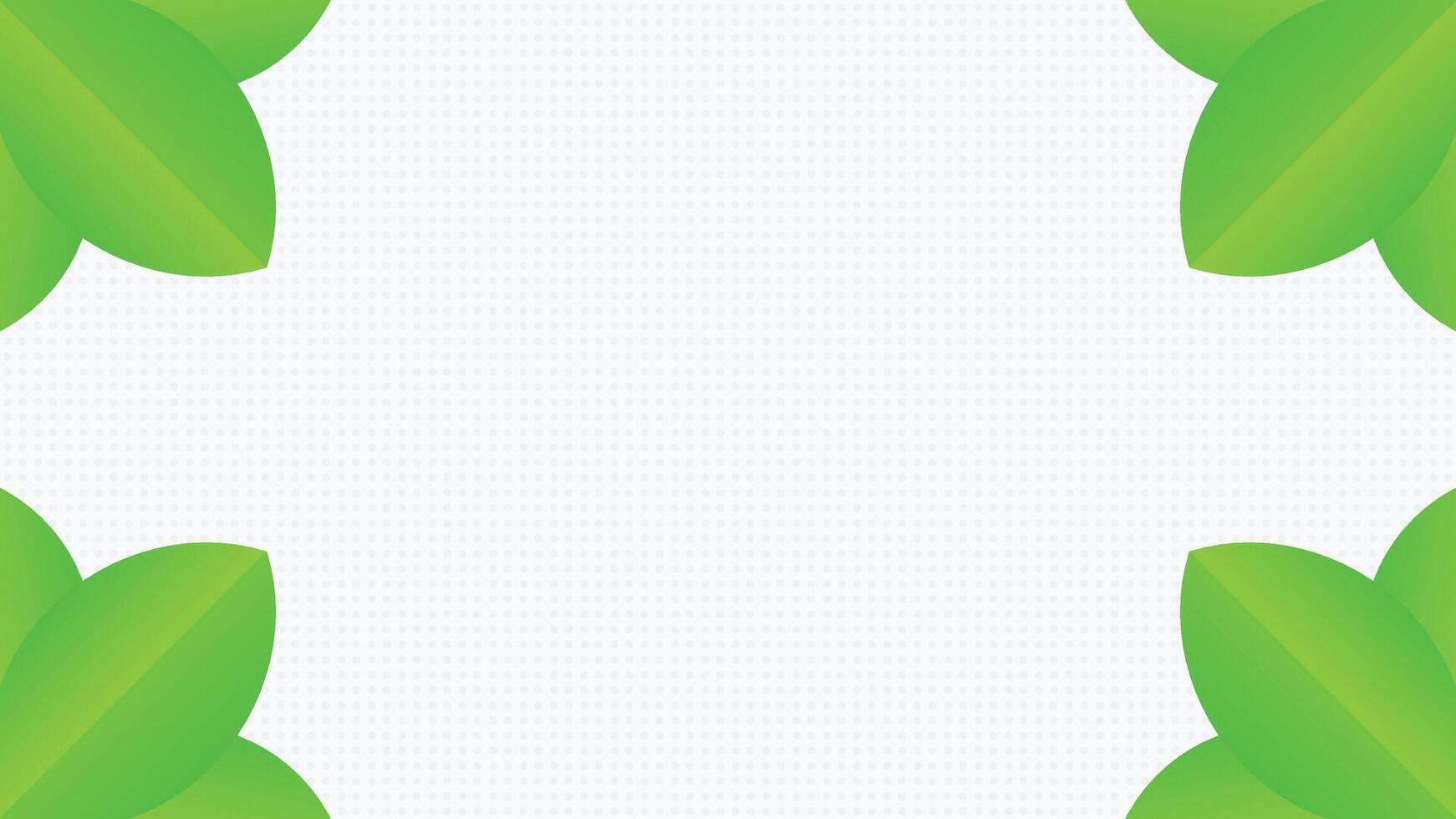 white backdrop background with leaf vector