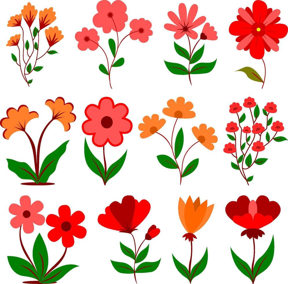 Colorful Flowers with Leaves Collection vector