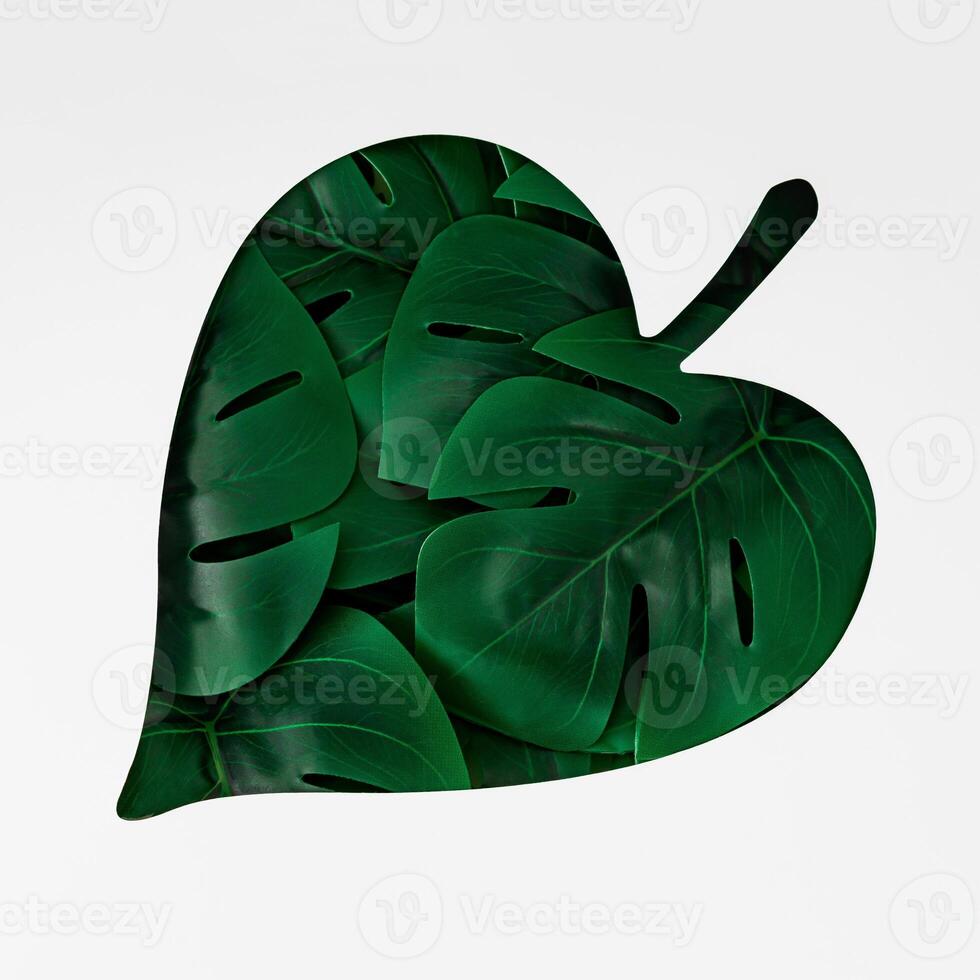 Nature aesthetic background. Green tropical leaves. Minimal abstract jungle or forest composition. Summer and spring concept. Creative leaf shape copy space. Flat lay style backdrop idea. photo