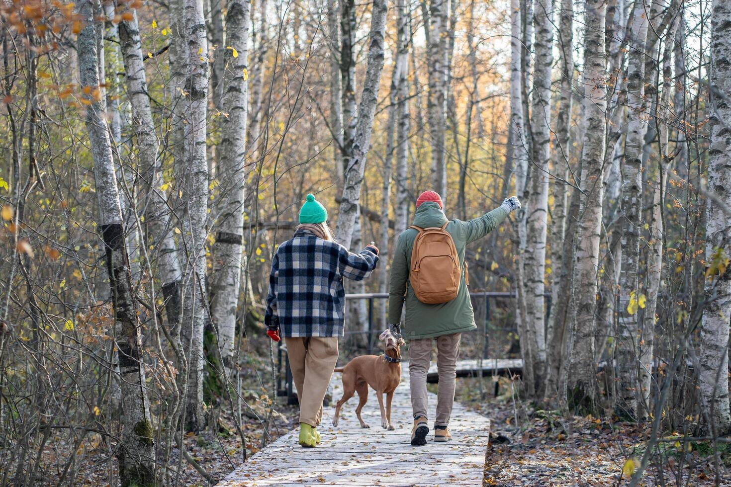 Happy romantic couple peacefully walking together with hunting dog in autumn forest, thicket photo