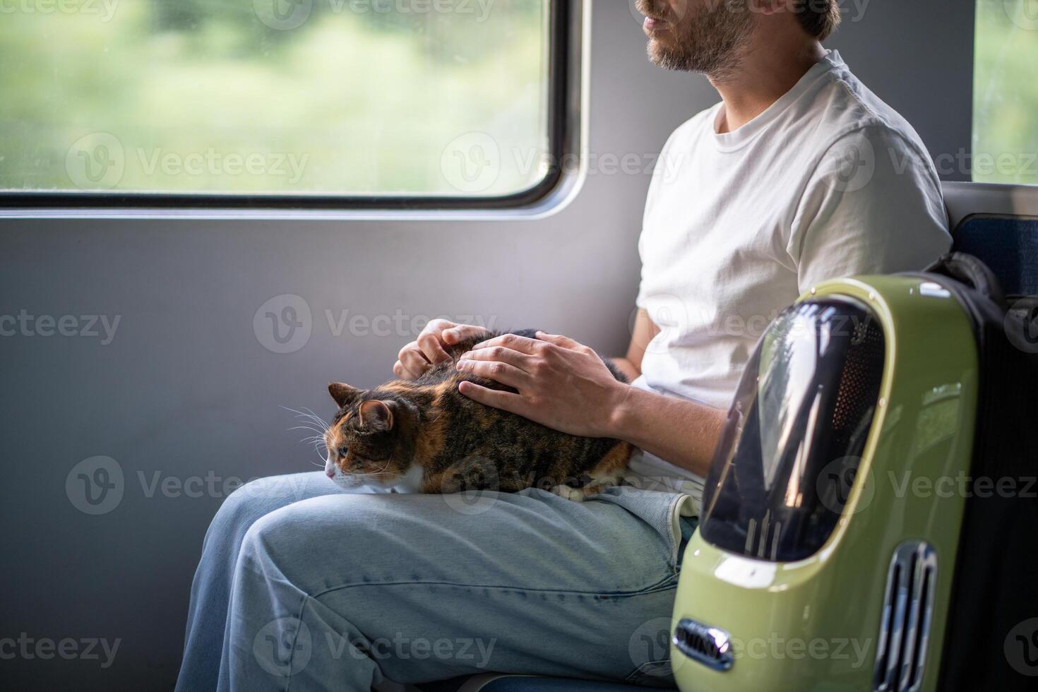 Cat owner traveling in electric train gentle touching pet lying on lap. Trip with domestic animals. photo