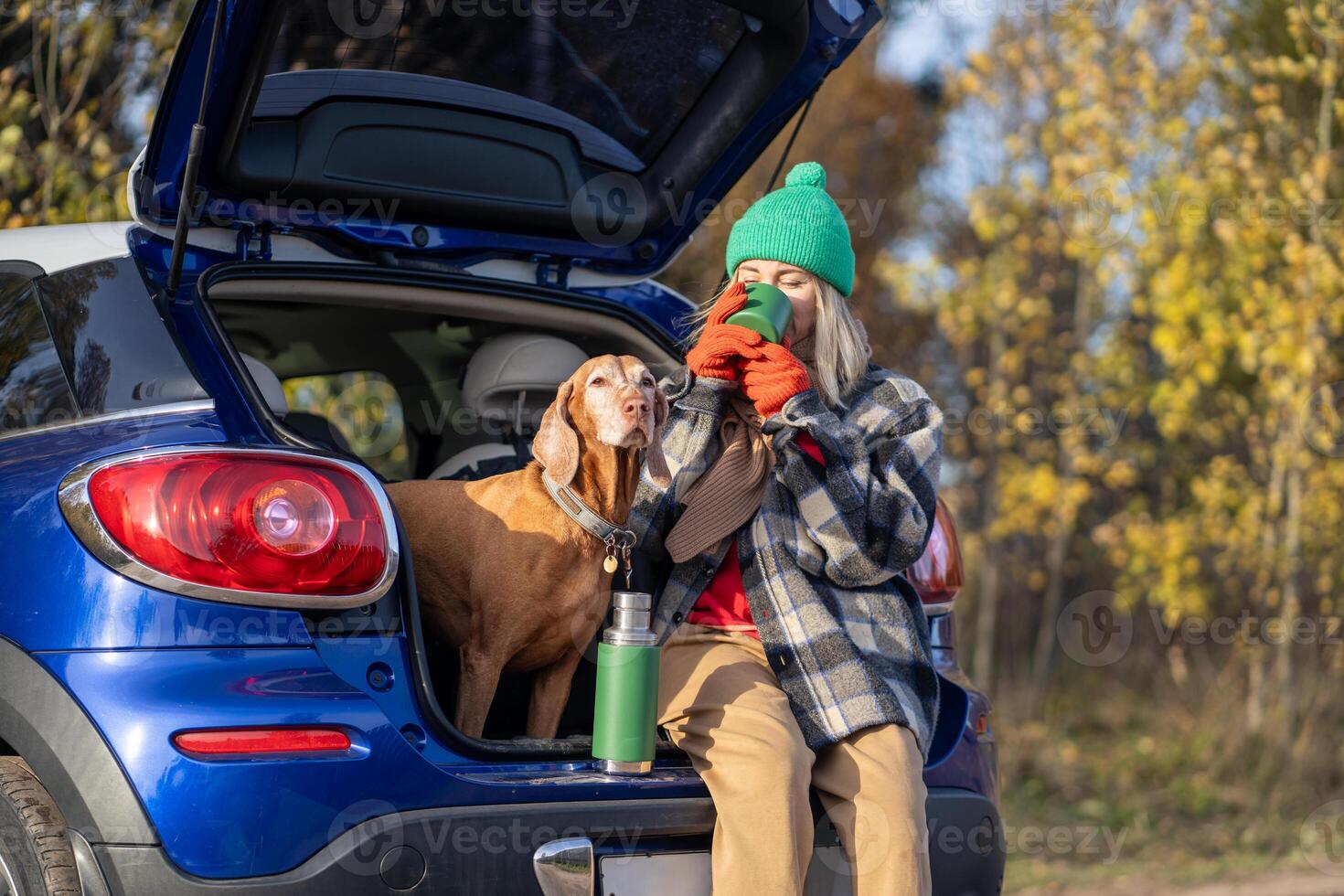 Woman pet owner drinking tea sitting in car trunk with dog enjoying nature in forest on weekend. photo