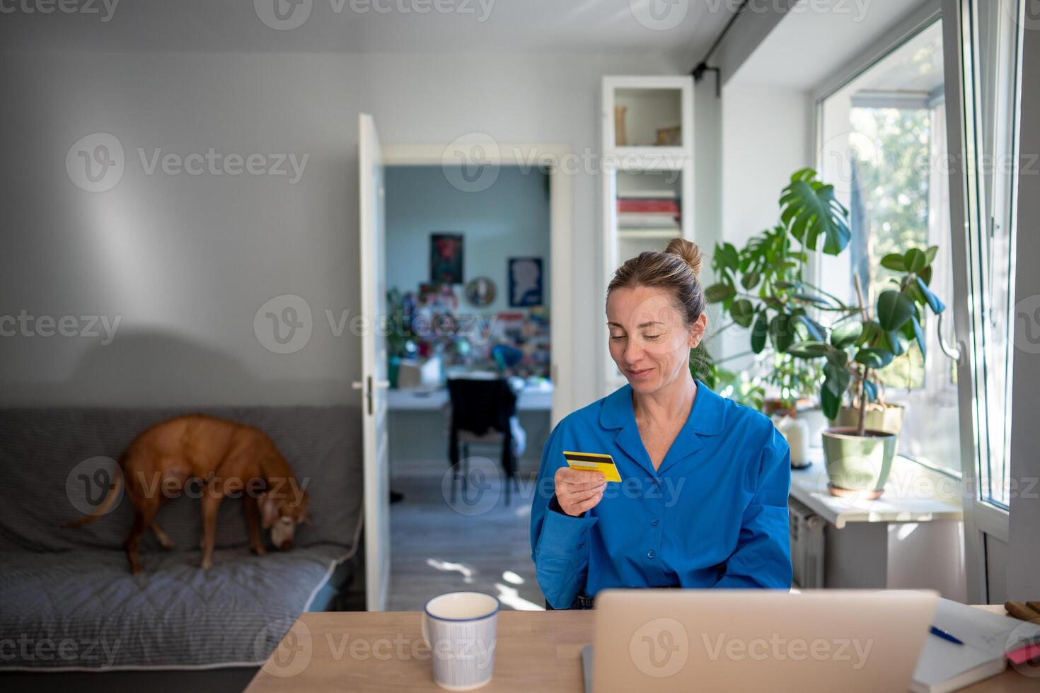 Pleased middle aged woman holding credit card sitting at table with laptop positive online shopping photo