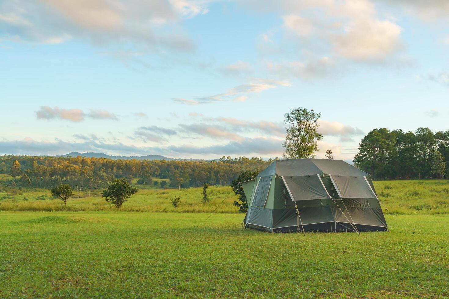 Tourist dome tent camping at forest camping site photo