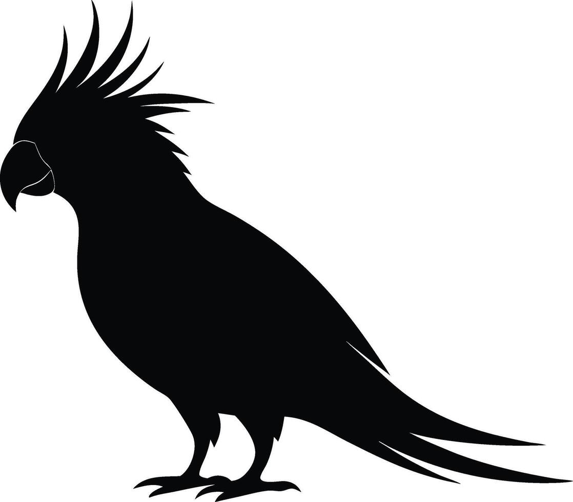 Black Parrot Silhouette with Distinctive Crest Illustration. vector
