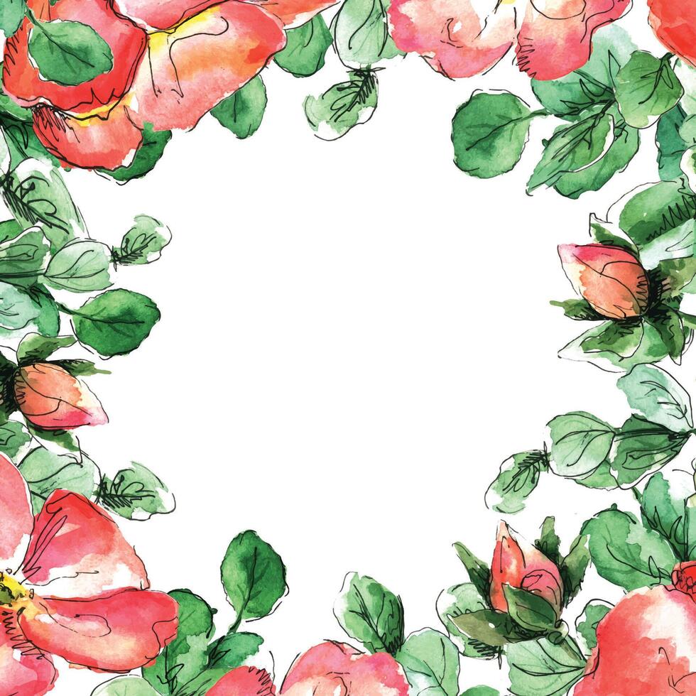 Square watercolor frame with red coral wild rose flowers and eucalyptus leaves vector