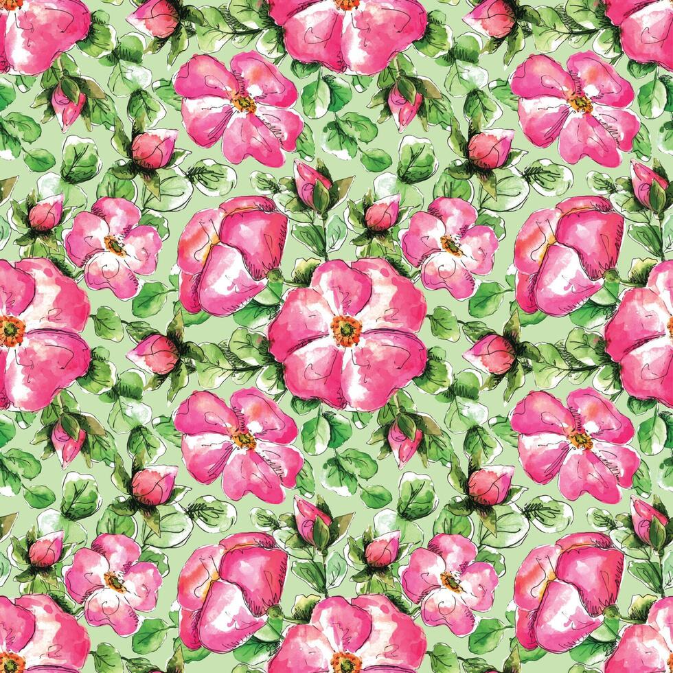 Seamless watercolor pattern with hand-drawn pink wild rose flowers for your print and textile design. rase flowers and buds, green rosehip leaves on a mint green background vector
