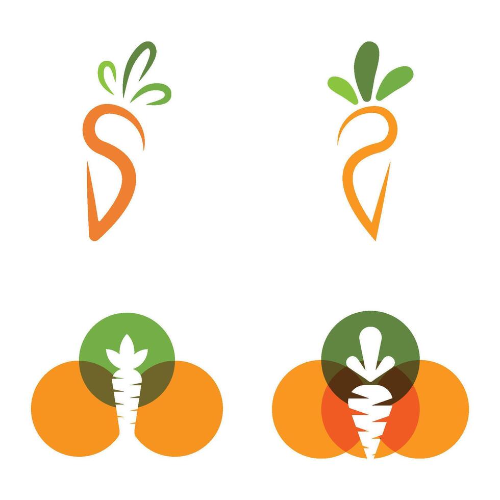 Carrot Logo Template Icon vector