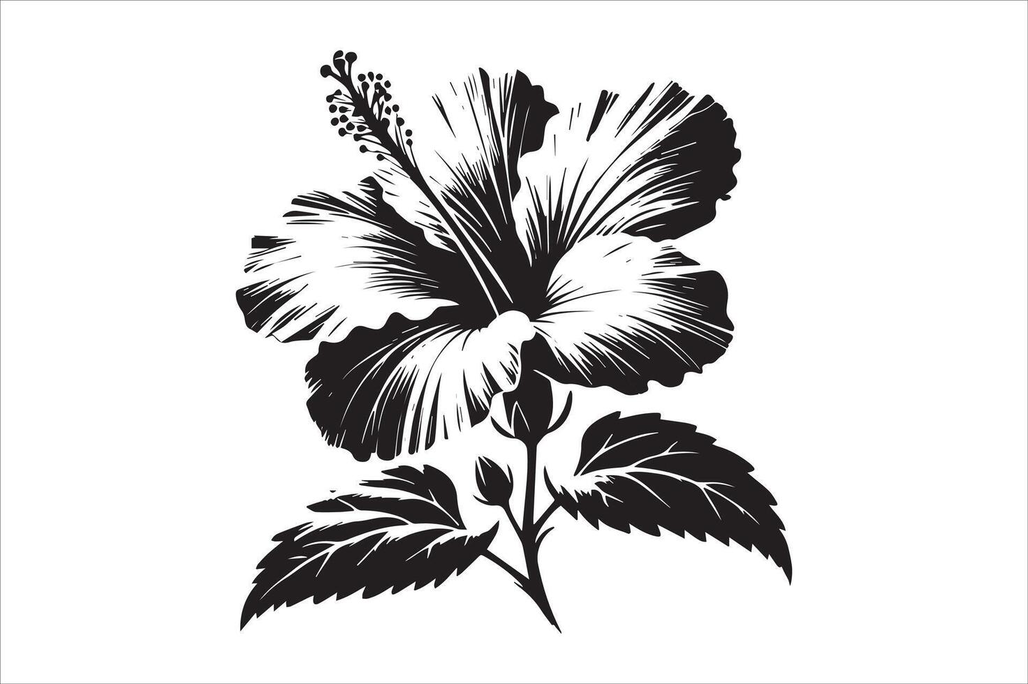 Hibiscus Flower Line Art - Printable Coloring Book Page vector