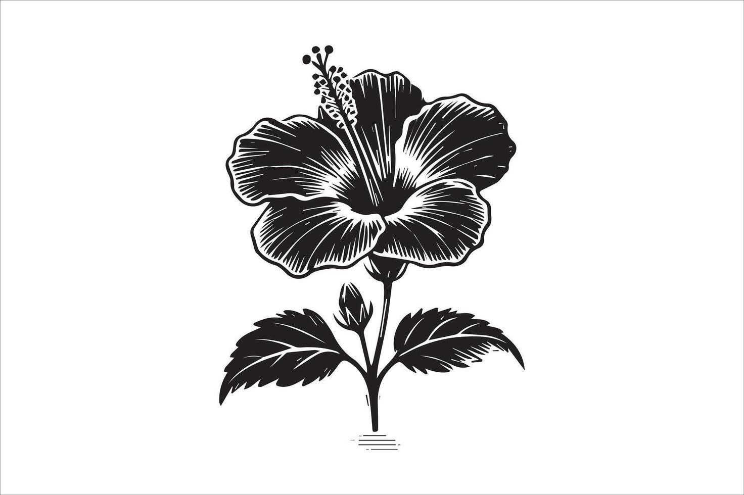 Hibiscus Flower Plant - Detailed Coloring Book Page Design vector