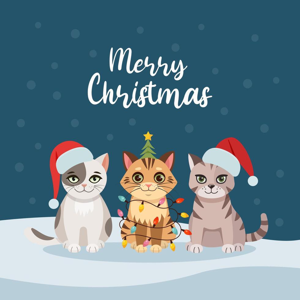Christmas card with cats, kittens. Happy holidays. Greeting concept. Ideal for print, postcard or label. New Year card. illustration on a white background. vector