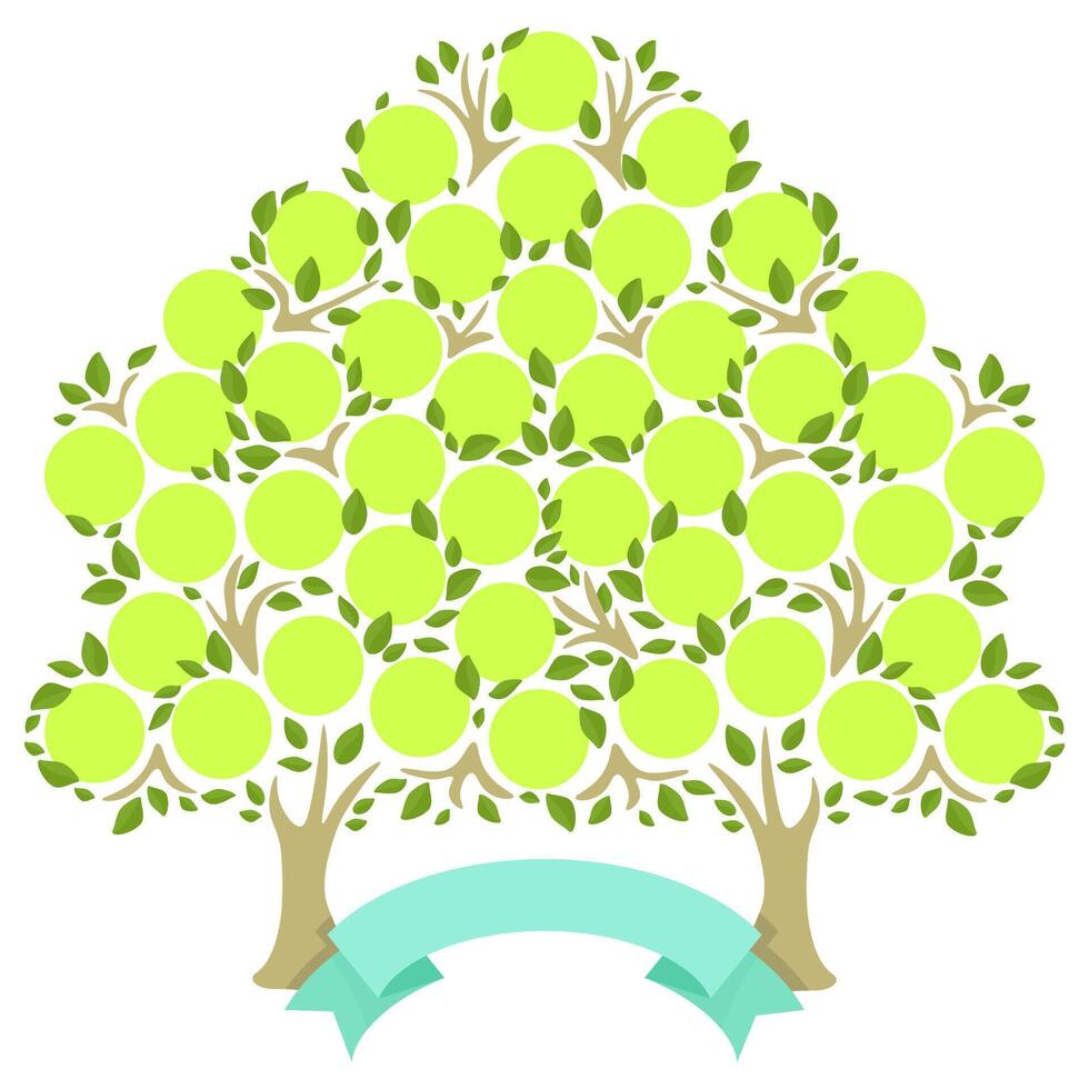 Retro green genealogical tree with photo frames and ribbons for inscriptions consists of two trees that merge into one vector