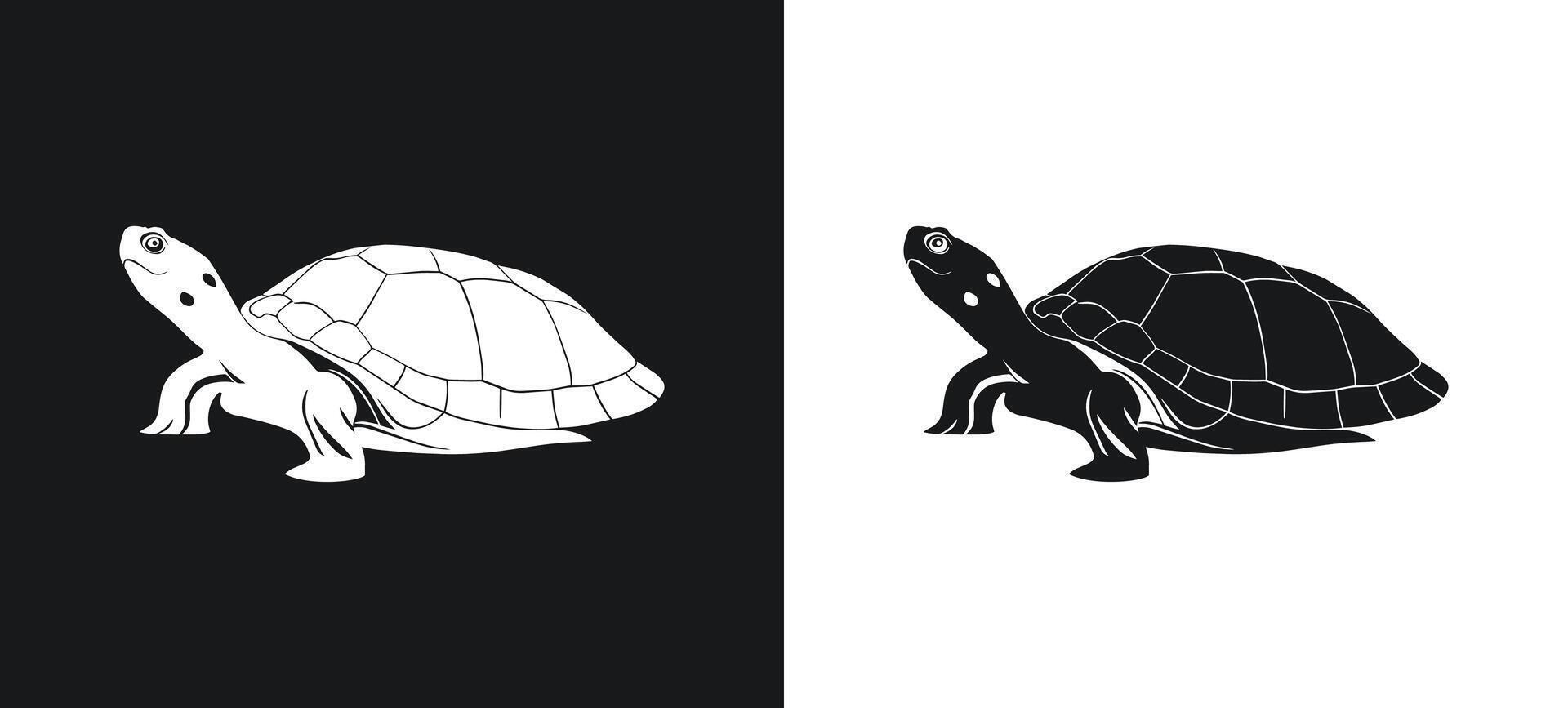 Turtle shadow illustration. vector