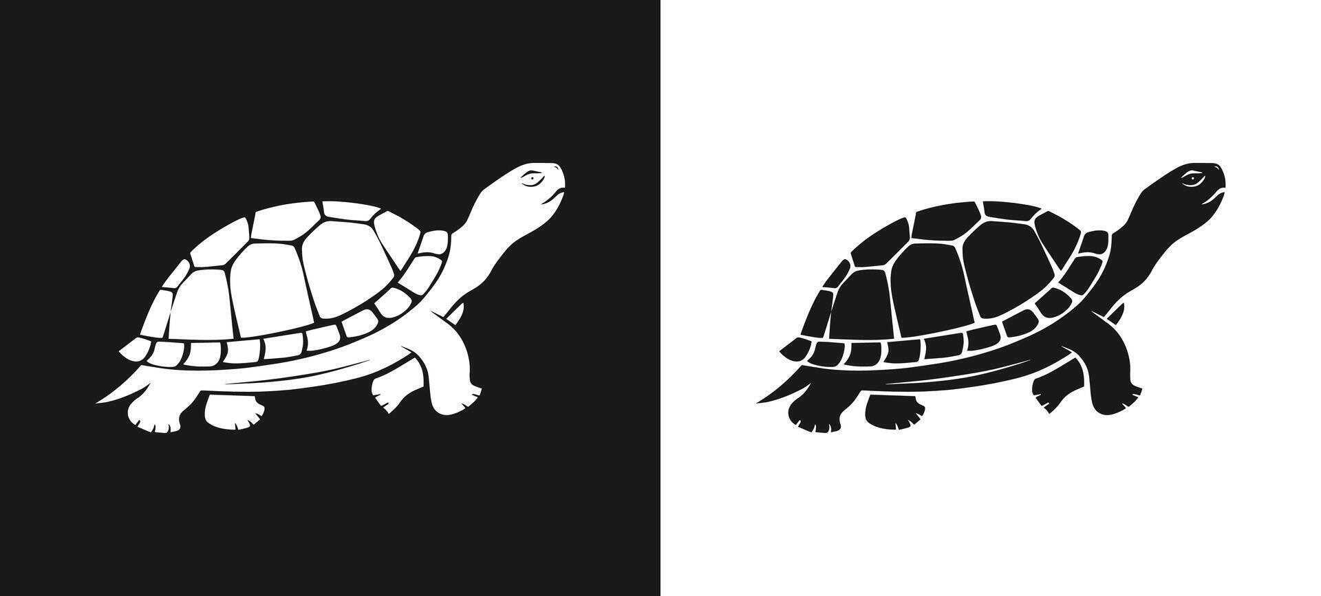 Turtle shape silhouette graphic art. vector