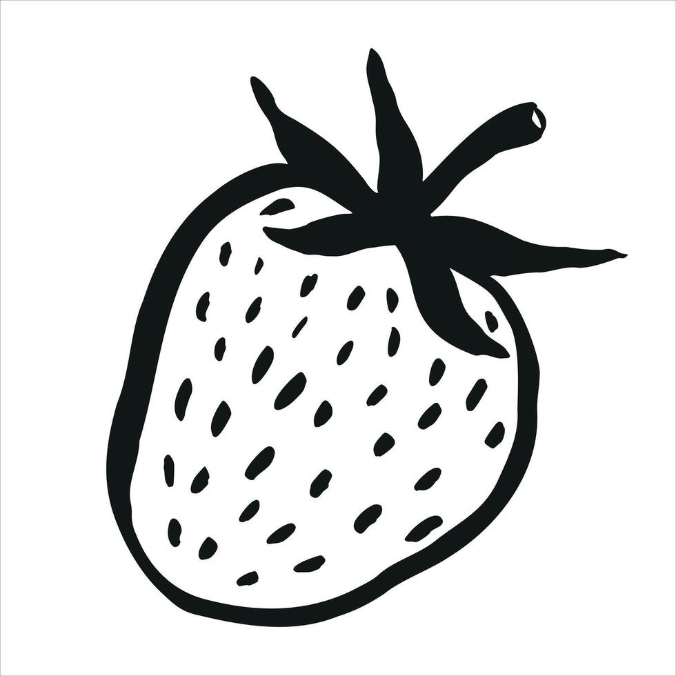 Hand Drawn Sketch of Strawberry vector