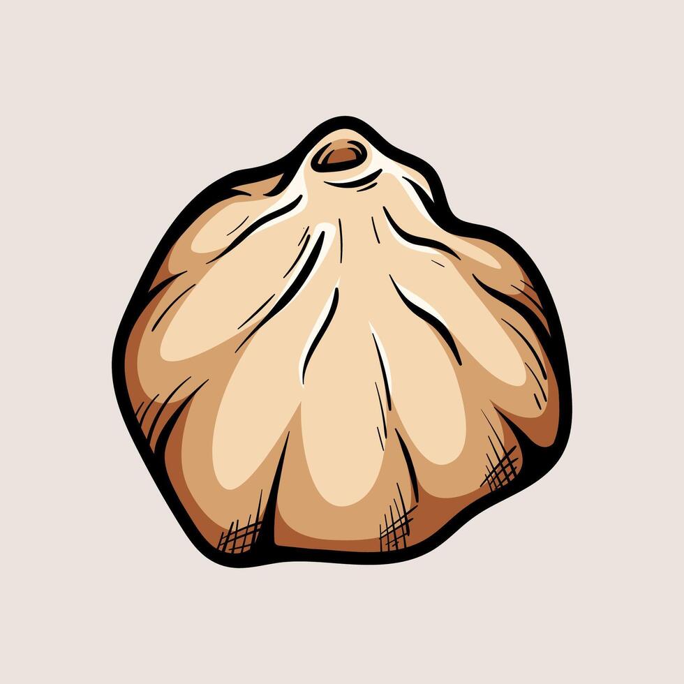 dumpling dimsum chinese food isolated colored drawing line art style sketch classic vintage design illustration vector