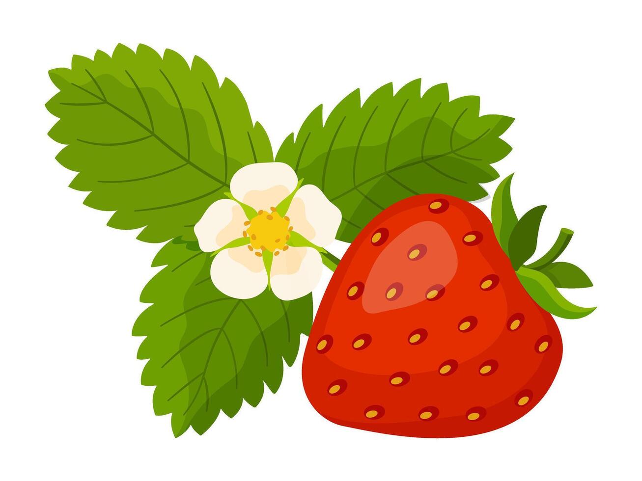Fresh sweet strawberry. Red berry, strawberry leaf and flower. Hand drawn summer strawberry trendy flat style isolated for design. illustration vector