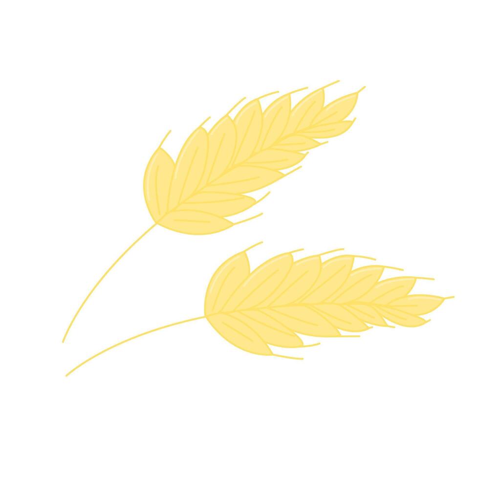 Wheat or Rye Ears Illustration vector