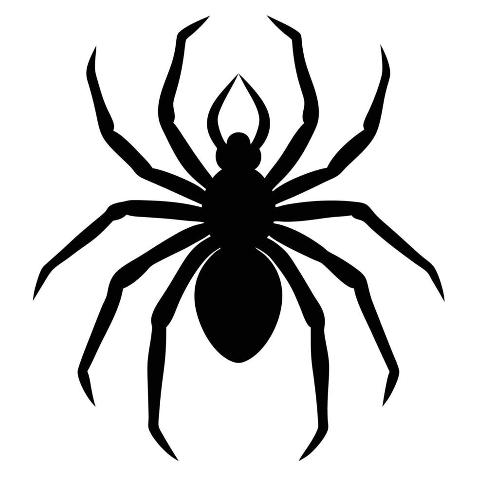 black spider silhouette on white background vector