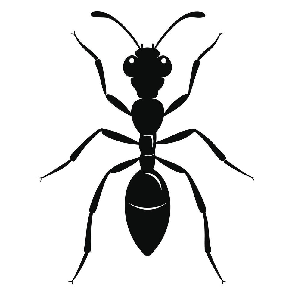 ant insect silhouette illustration vector