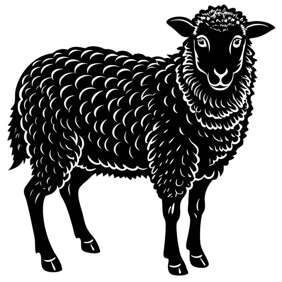 black and white sheep on a white background vector
