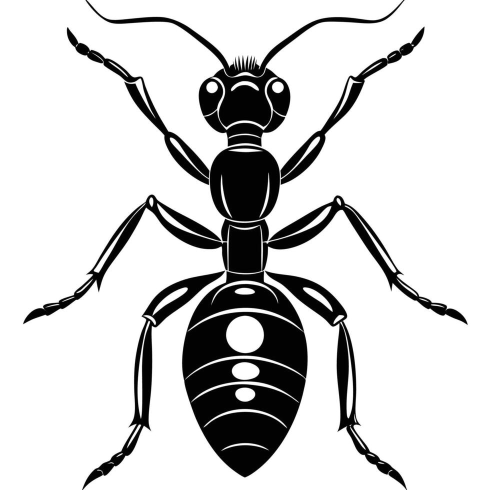 ant insect silhouette illustration vector