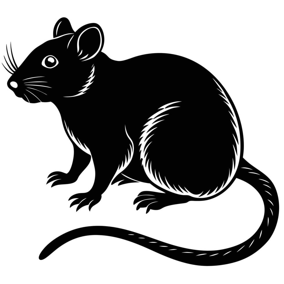a black and white rat on a white background vector