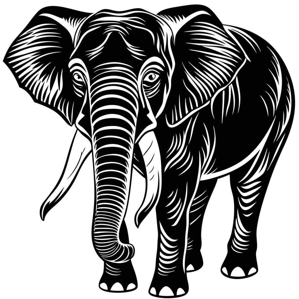 an elephant is standing in a woodcut style vector