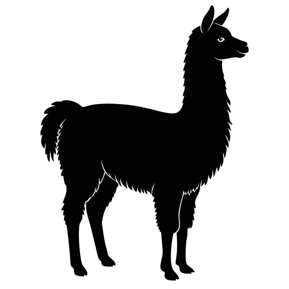silhouette of a llama on a white background vector