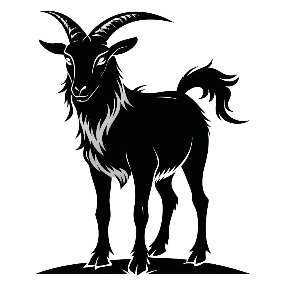 black goat on white background vector